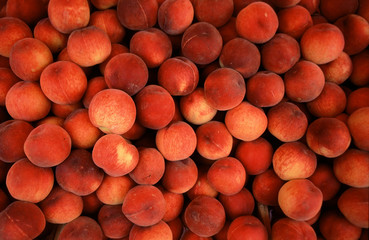 Peaches (prunus persica) red heaven