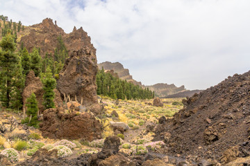 Beautiful view of Teide national park with lush green, beautiful wild flowers and impressive rocks