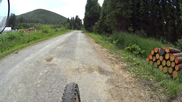 Mountain biker cycling along dirt road in forest, Bieszczady, Poland