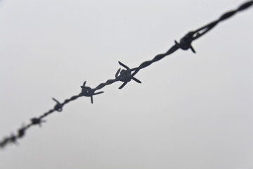 Barbwire with fog