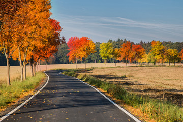 Obraz premium Autumn road