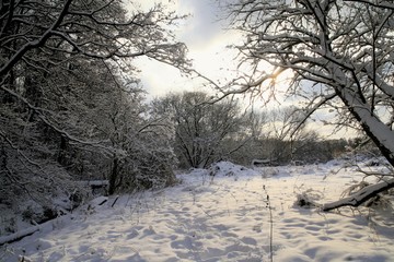 malerische Winterlandschaft mot Schnee und Bäumen