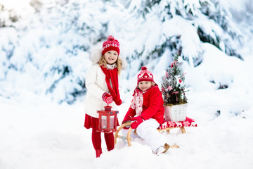 Children with Christmas tree. Snow winter fun for kids.