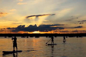 Fototapeta premium Drei Stand up Paddler im Starnberger See bei Sonnenuntergang