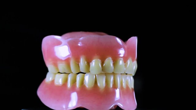 Full dentures lower and upper jaw that spin in circles