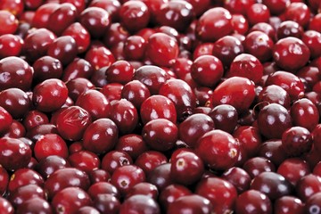 Cranberries, full frame