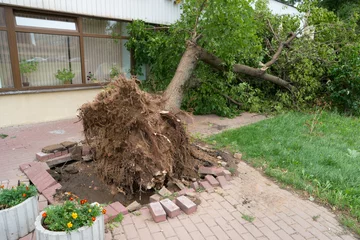 Photo sur Plexiglas Orage arbre est tombé sur le bâtiment. tempête en ville.