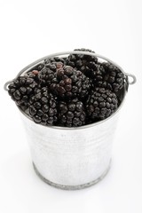 Small tin pail filled with blackberries