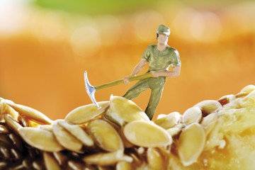 Model figure of a workman with a pickaxe removing pumpkin seeds