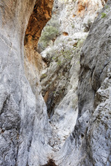 Fototapeta na wymiar Kritsa Gorge (Kritsas gorge), Crete, Greece, Europe