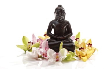 Multicoloured orchid blossoms (Orchidaceae) in front of a black Buddha statue