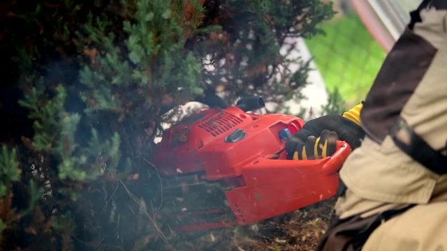Men Removing Garden Trees Using Gasoline Chainsaw