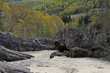 reißender Fluss in Schottland im Frühjahr