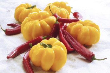 Yellow bell peppers and red chili peppers, hot peppers (Capsicum)
