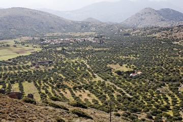 Fototapeta na wymiar Kastelli Plateau, Eastern Crete, Greece, Europe