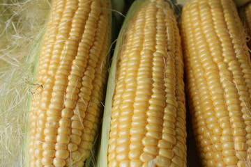 corns