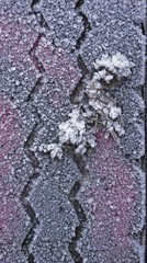Fototapeta premium Frost-covered car tire, detail showing tread