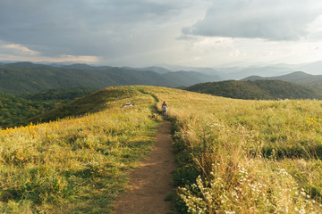 Camping Max Patch