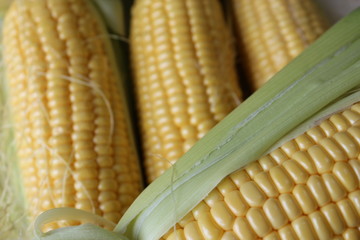 corns
