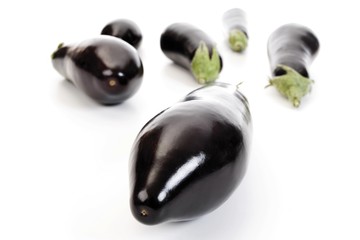 Eggplant or Aubergine (Solanum melongena)