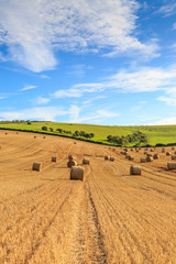 Obraz premium Hay Bales in the Countryside
