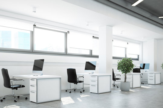 Open space office, a tree, white walls