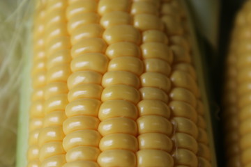corn