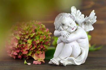 Guardian angel and flower on wooden background