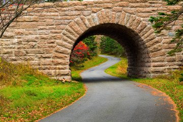 Fototapeta na wymiar A small road winds its way through Acadia National Park in Maine