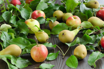 Apples and pears on dark wooden background