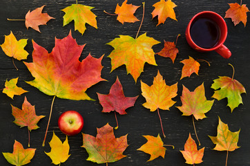 Autumn maple leaves, apple, cup of tea