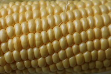corn