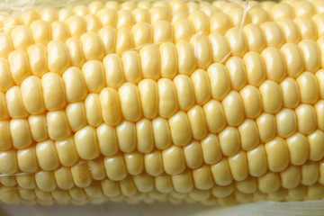 corn