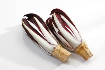 Radicchio, Italian Chicory (Cichorium intybus var. foliosum)