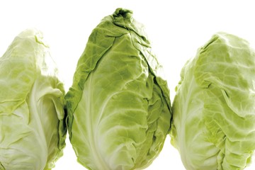 Pointed cabbage, three heads