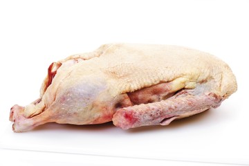 Uncooked goose