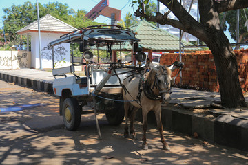Lombok: Traditionelle Pferdekutsche