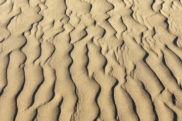 Ripple, sand dunes, Maspalomas, Gran Canaria, Spain, Europe