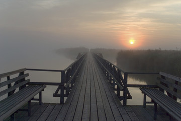 Fototapeta na wymiar Federsee in the morning, sunrise, nature reserve, Upper Swabia, Germany, Europe