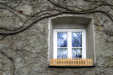 Window, old house