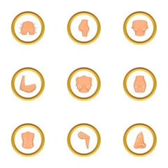 Body plastic surgery icons set, cartoon style