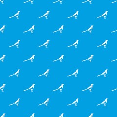 Bird magpie pattern seamless blue