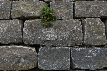 steinmauer mit großen steinen in grau