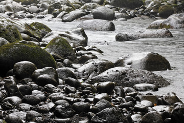 Rio Blanco, Guapiles, Costa Rica, Central America
