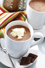 Cup of cocoa with whipped cream