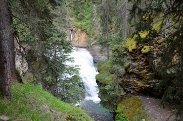 Fototapeta na wymiar Johnston Canyon Trail at Banff National Park, Canada