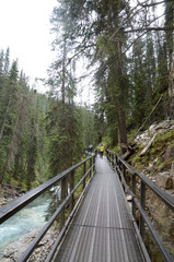 Fototapeta na wymiar Johnston Canyon Trail at Banff National Park, Canada