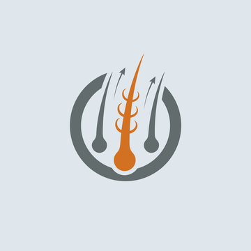 Strengthening Of Hair Gray-Orange Vector Round Icon. Improve Hair Growth Illustration