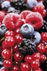 Mixed forest berries, blueberries, raspberries, blackberries, red currants