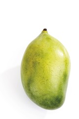 Mango (Mangifera indica), Israel, Asia